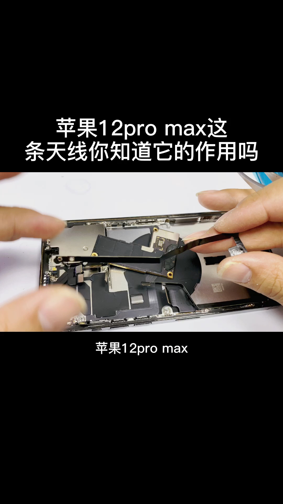 手机维修#你知道苹果12promax这条天线的作用吗