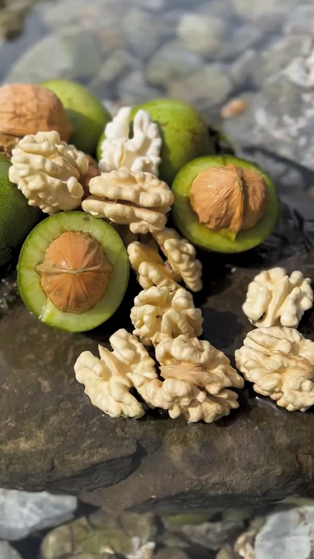 舌尖上的美食四川大凉山新鲜湿核桃