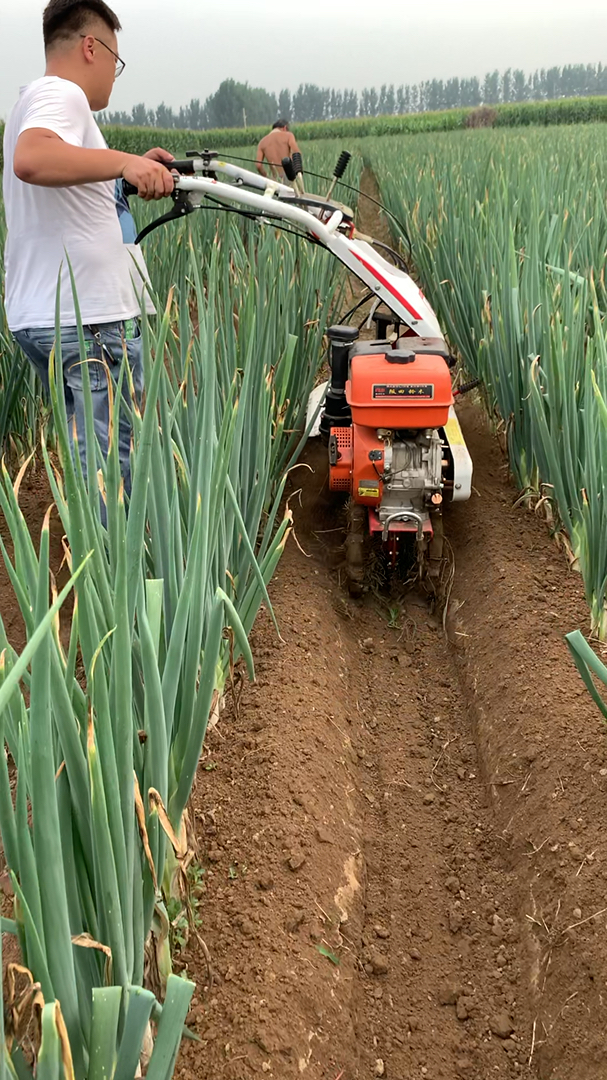 开沟培土机#大葱开沟培土机多功能田园管理机