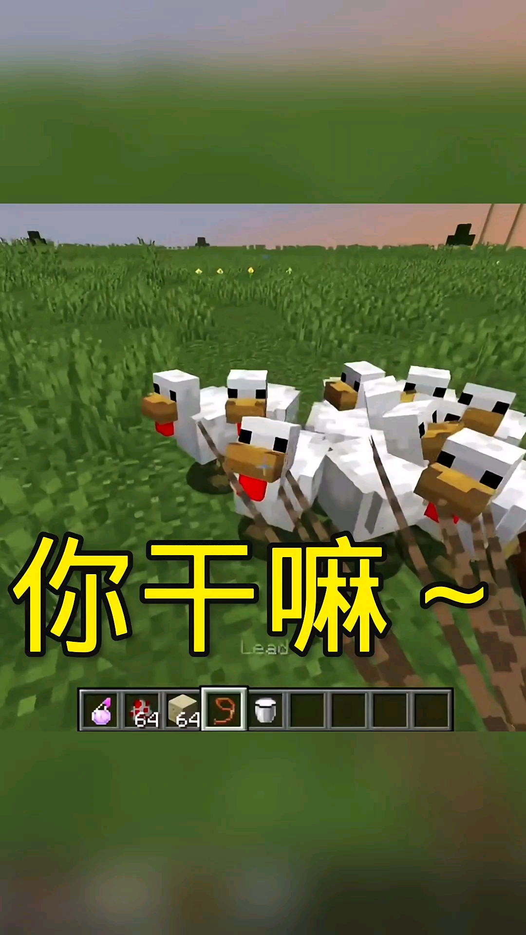 我的世界#这是鸡哥降落伞