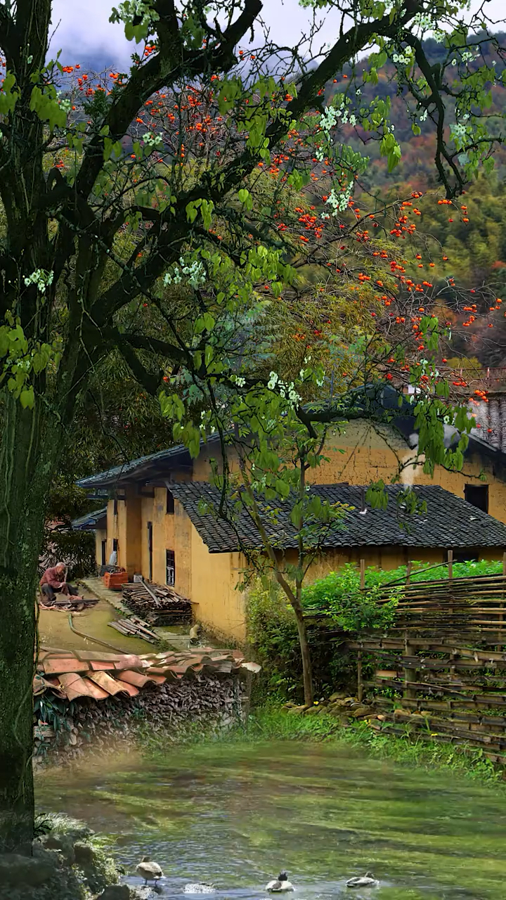 #大自然美景#这是我老家农村山沟沟里,如果你不小心刷到了我,那就多花