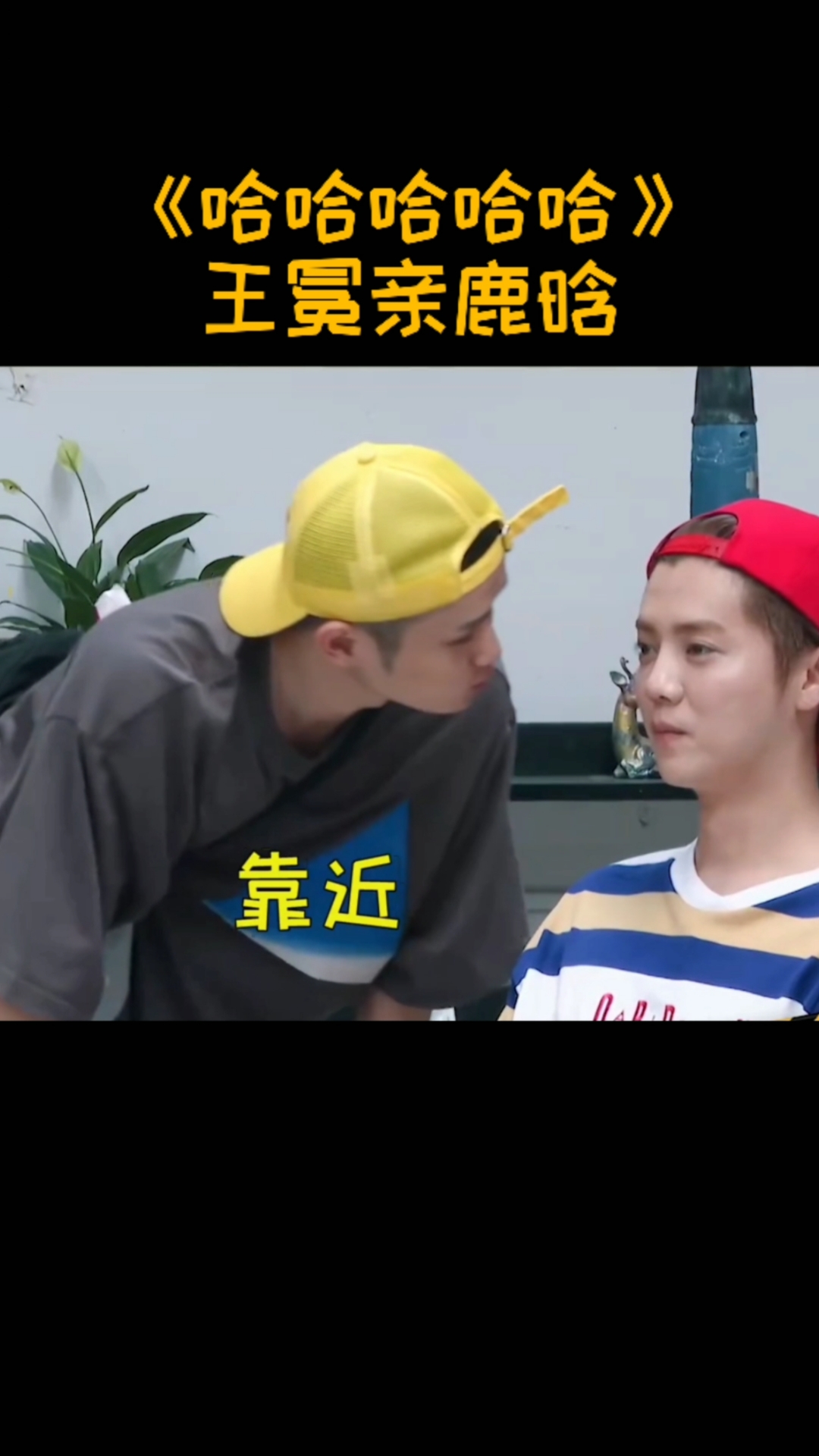 搞笑综艺#《哈哈哈哈哈》王冕亲鹿晗,鹿晗满脸写着抗拒,奇怪的cp又