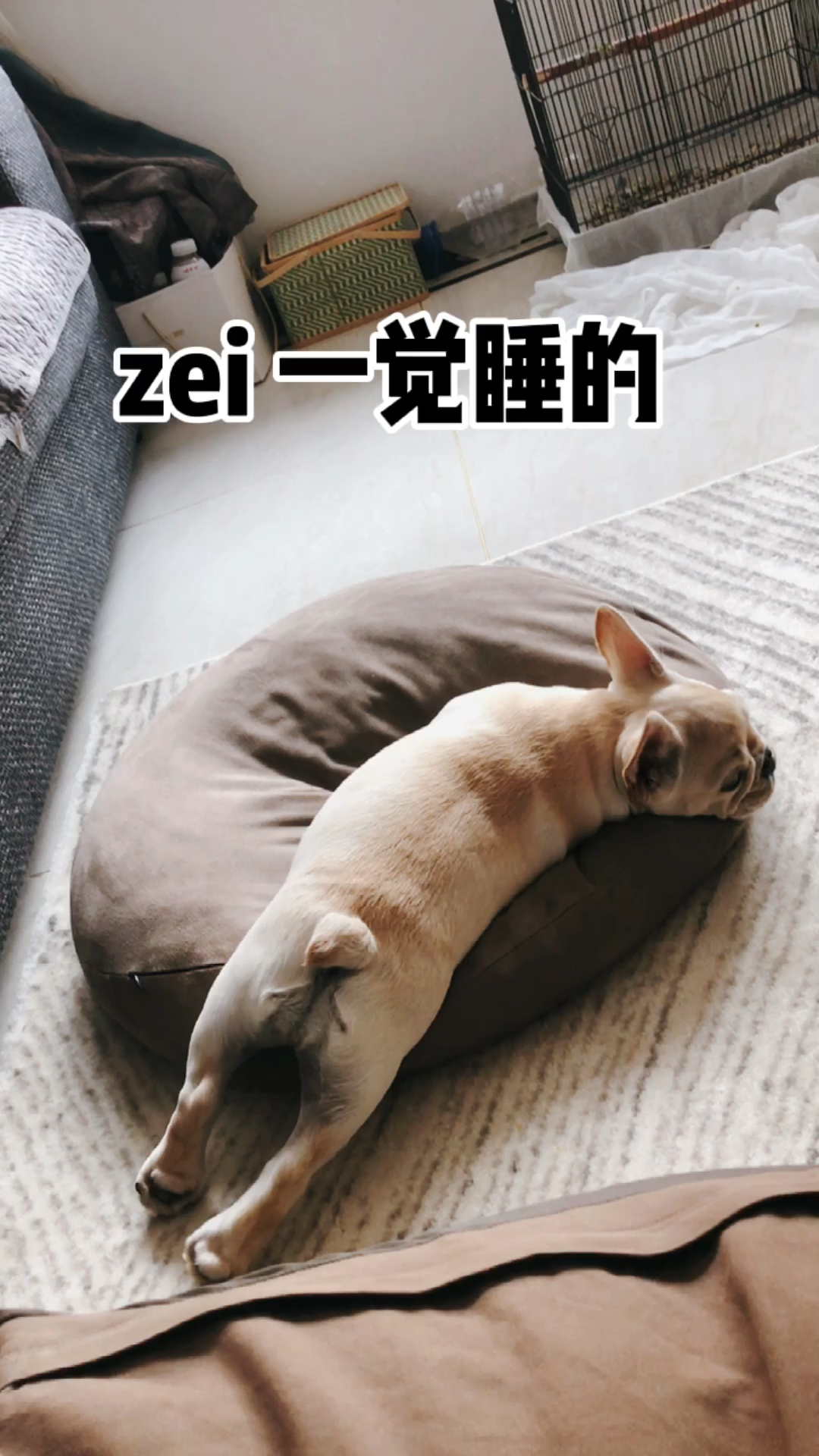 潮级玩家#这一觉睡的累