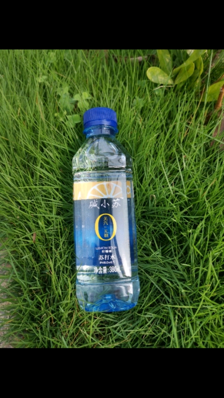 碱小苏苏打水好喝的苏打水