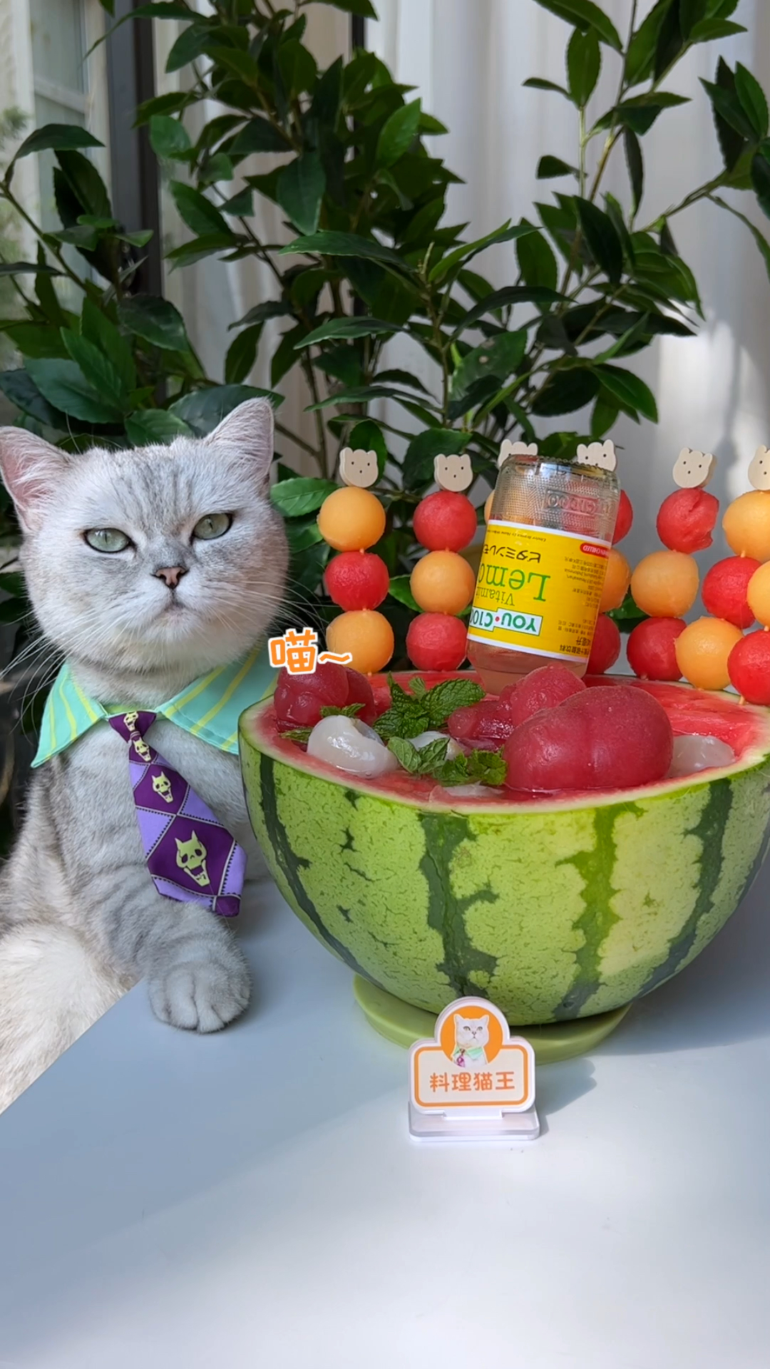 自制美食#猫王:夏日西瓜的花式吃法,冰冰凉凉快乐源泉