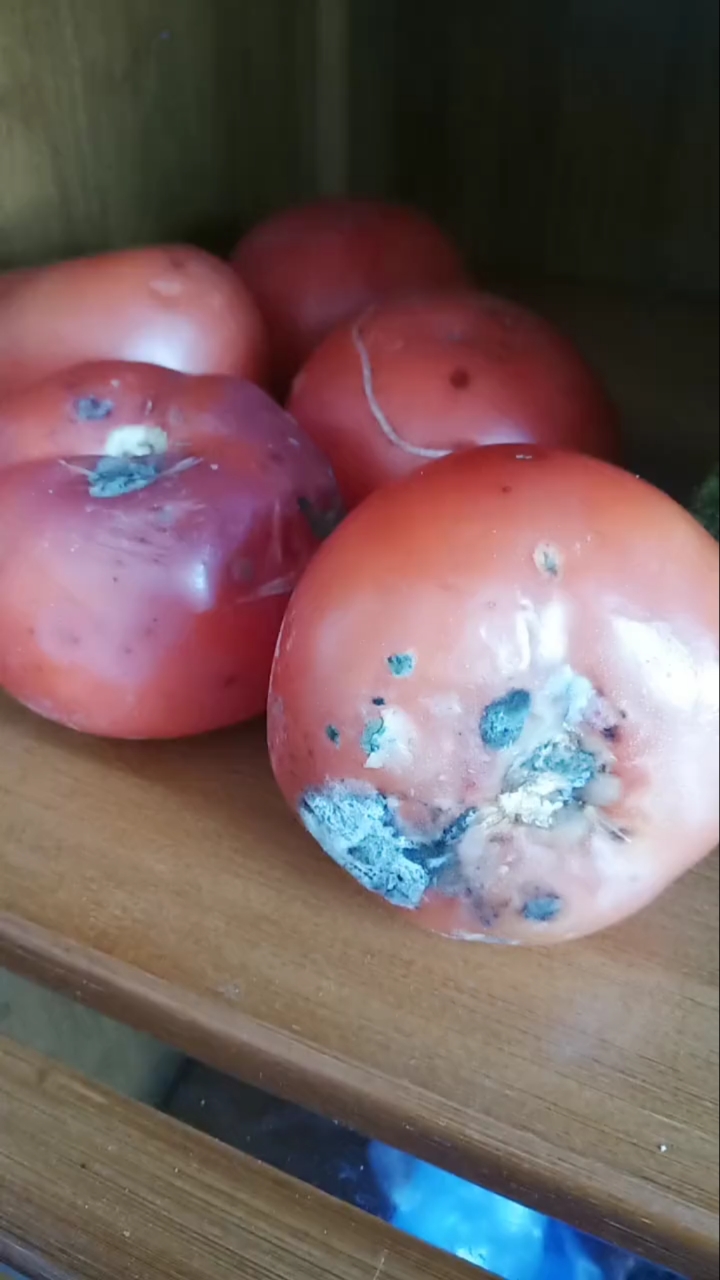 菜坏了,肉臭了,炸里鸡呀鱼呀!