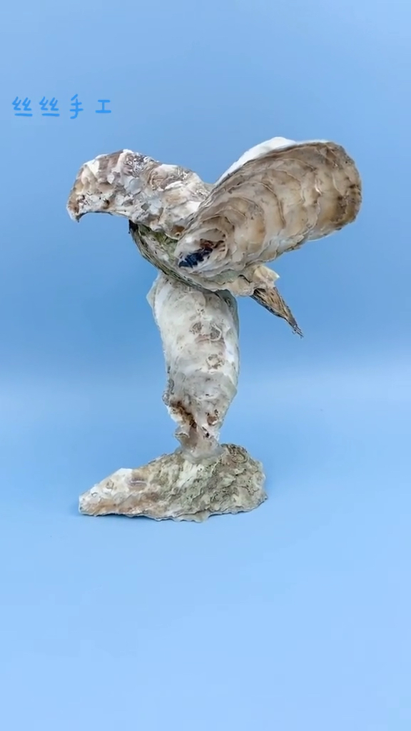 手工制作#吃完的海鲜壳不用扔,比如生蚝