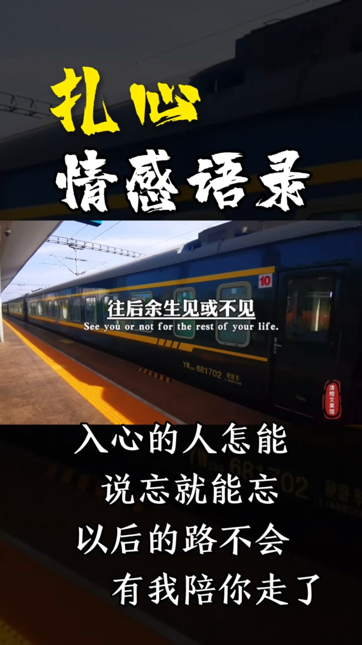 扎心情感语录入了心的人怎么说忘就能忘动了情的人怎能说放就能放余生