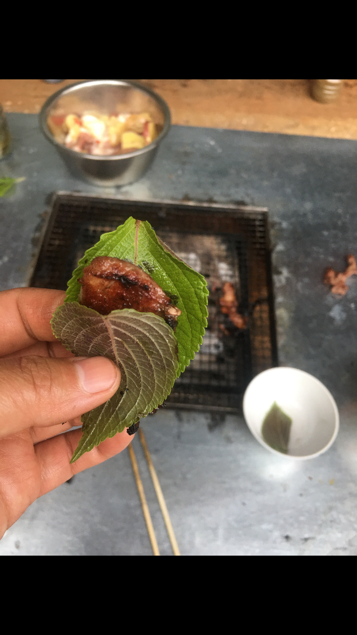 音为有你#紫苏包肉,火急火燎