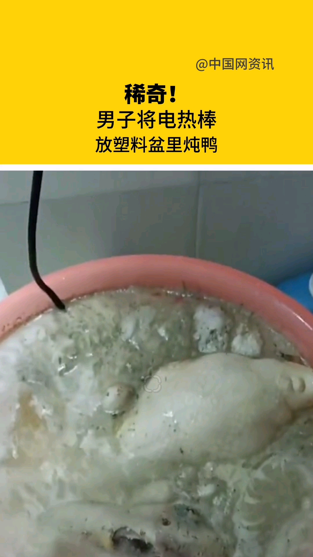 稀奇!男子将电热棒放塑料盆里炖鸭