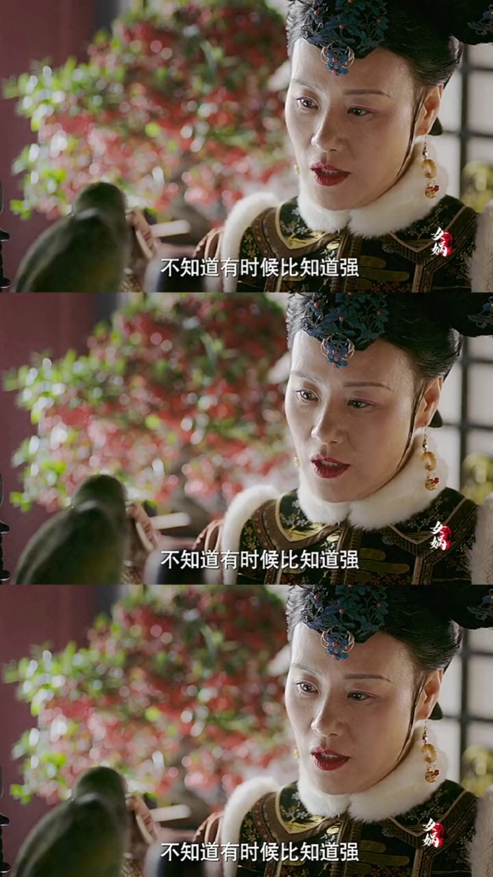 同样被利用被欺骗嬛嬛断情绝爱成了太后意欢断念焚诗葬身火海