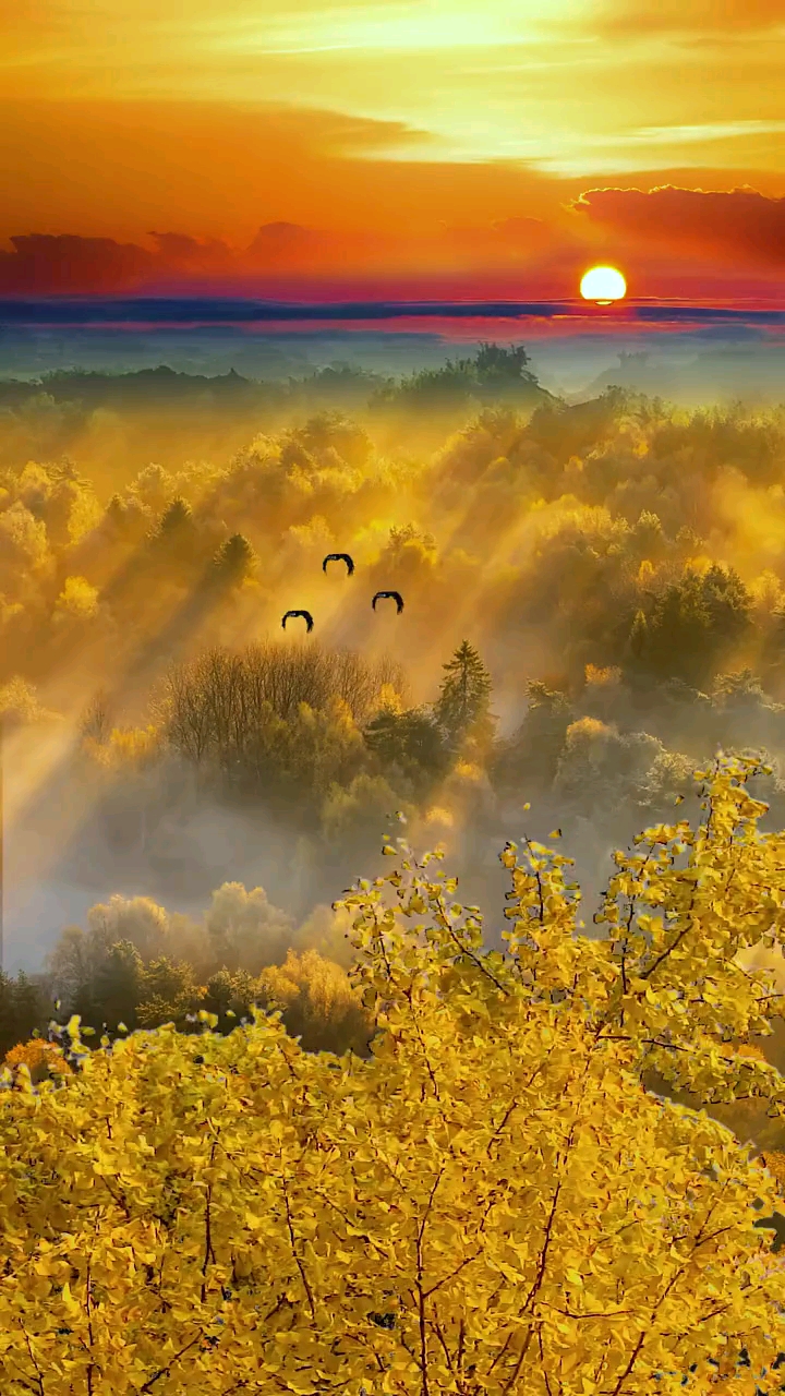 最美的风景#你必须经历饱满才能经得住往事刁难,我们每个人都应该活