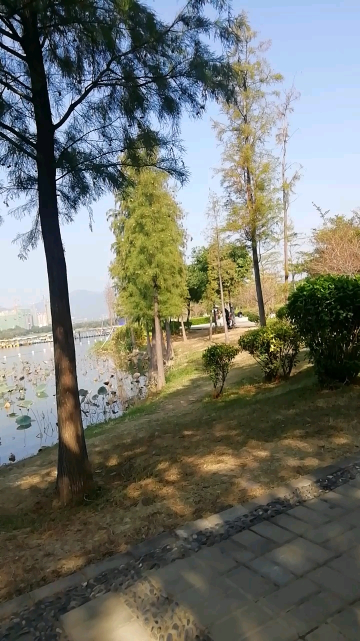 清远市飞来湖湿地公园