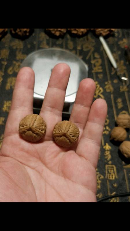 2021-03-2020藏核阁文玩工艺品204粉丝  关注拔河:二蛋vs坦克30064.