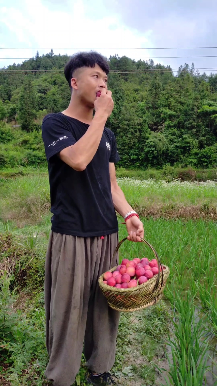 没有打过农药的李子,太好吃了!