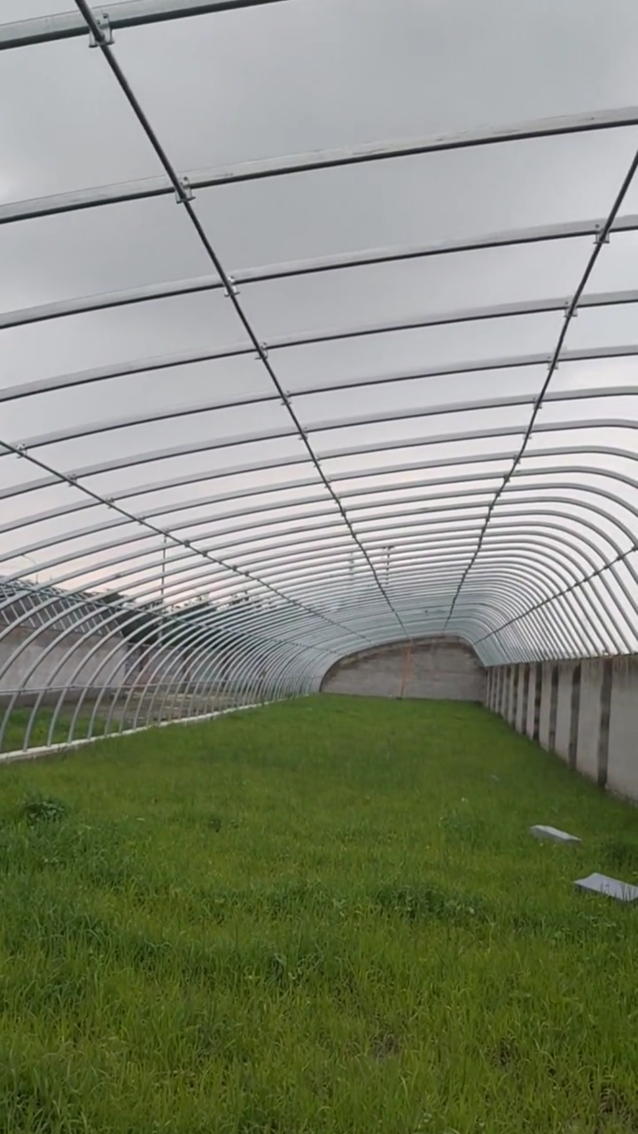 养殖大棚～赵国#三面墙体温室大棚