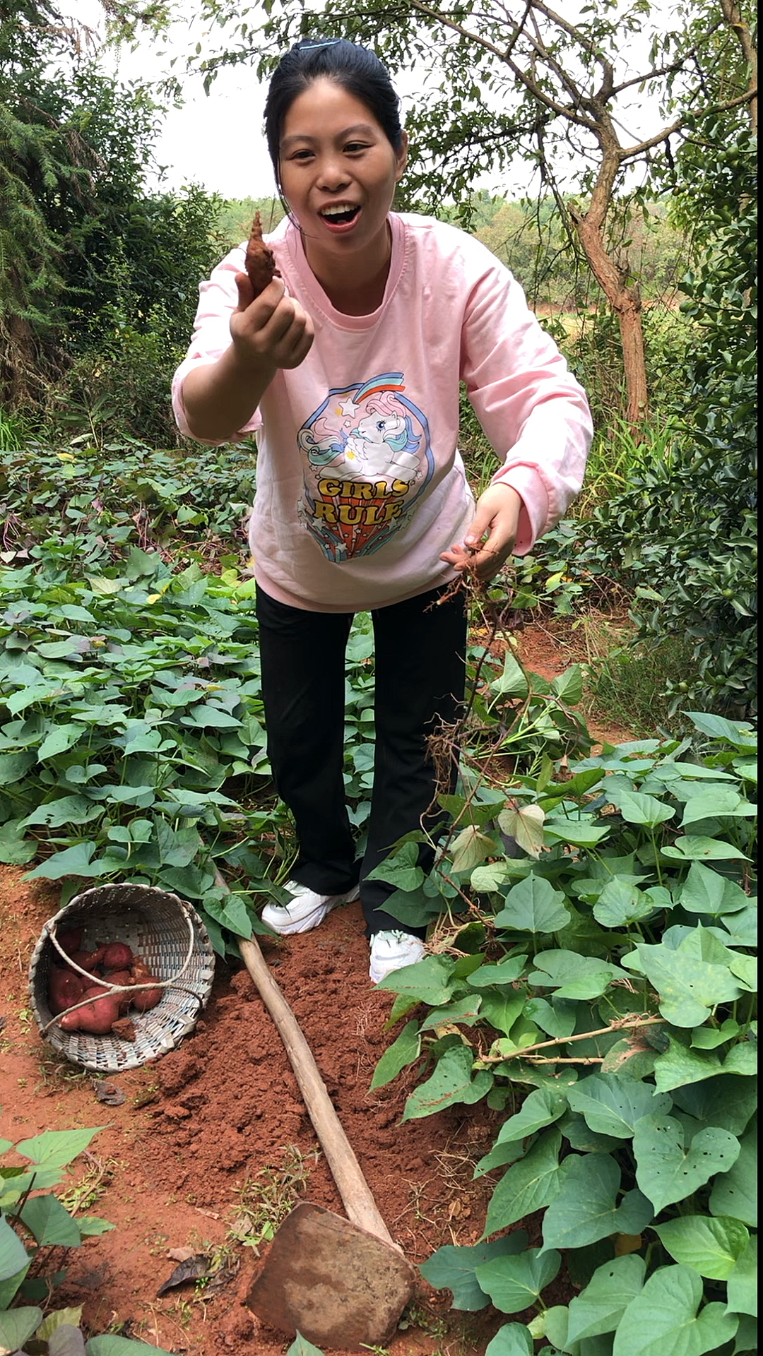 挖了一个最小红薯