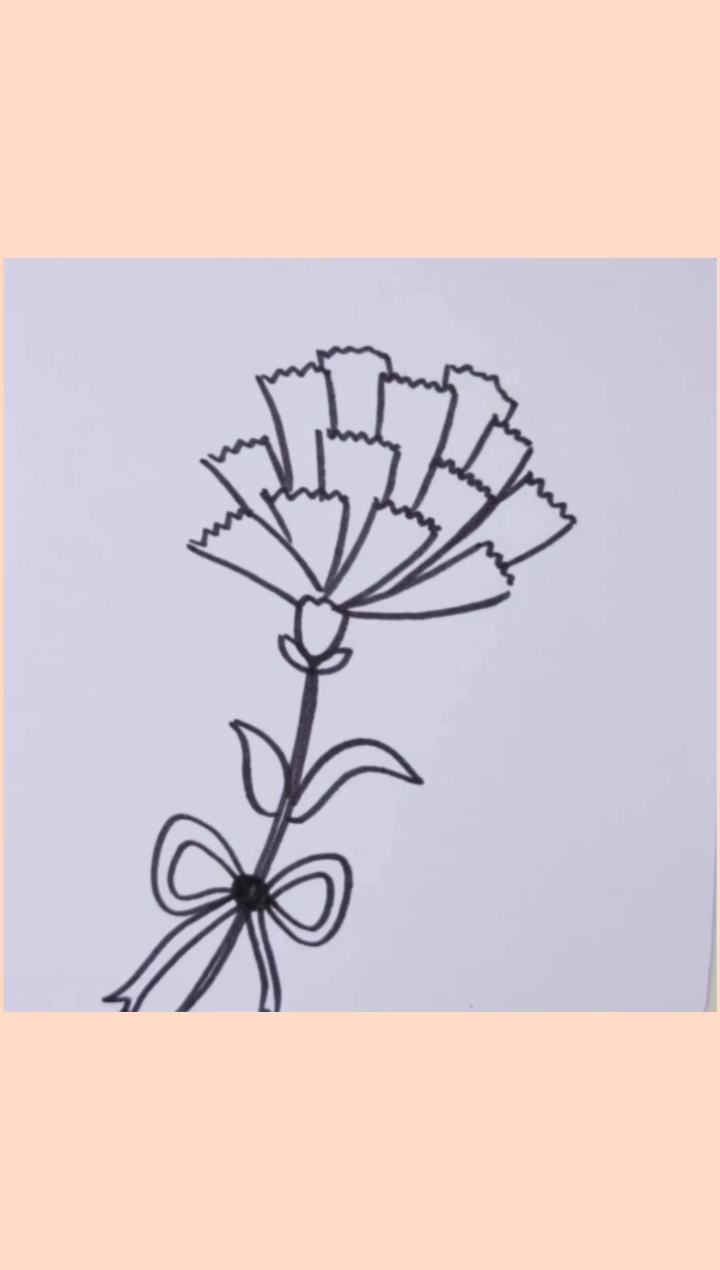 画画原来如此简单#康乃馨教你这样画#简笔画#画画