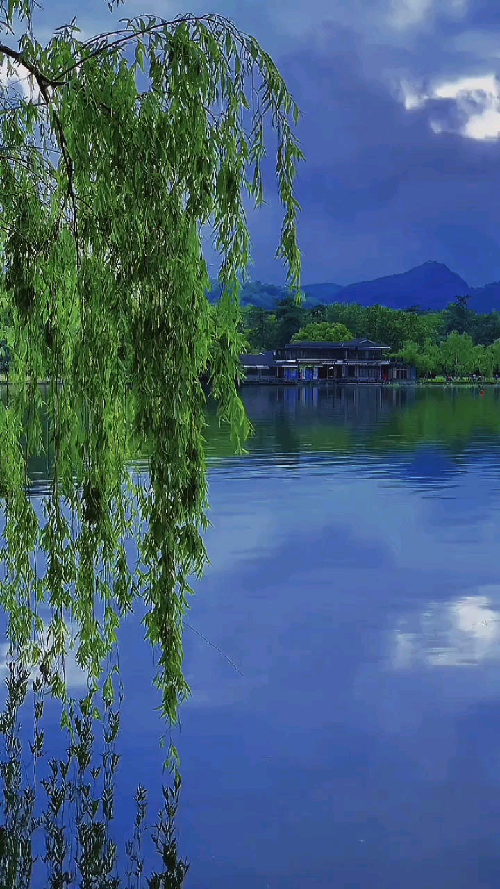 风景#优质风景视频素材