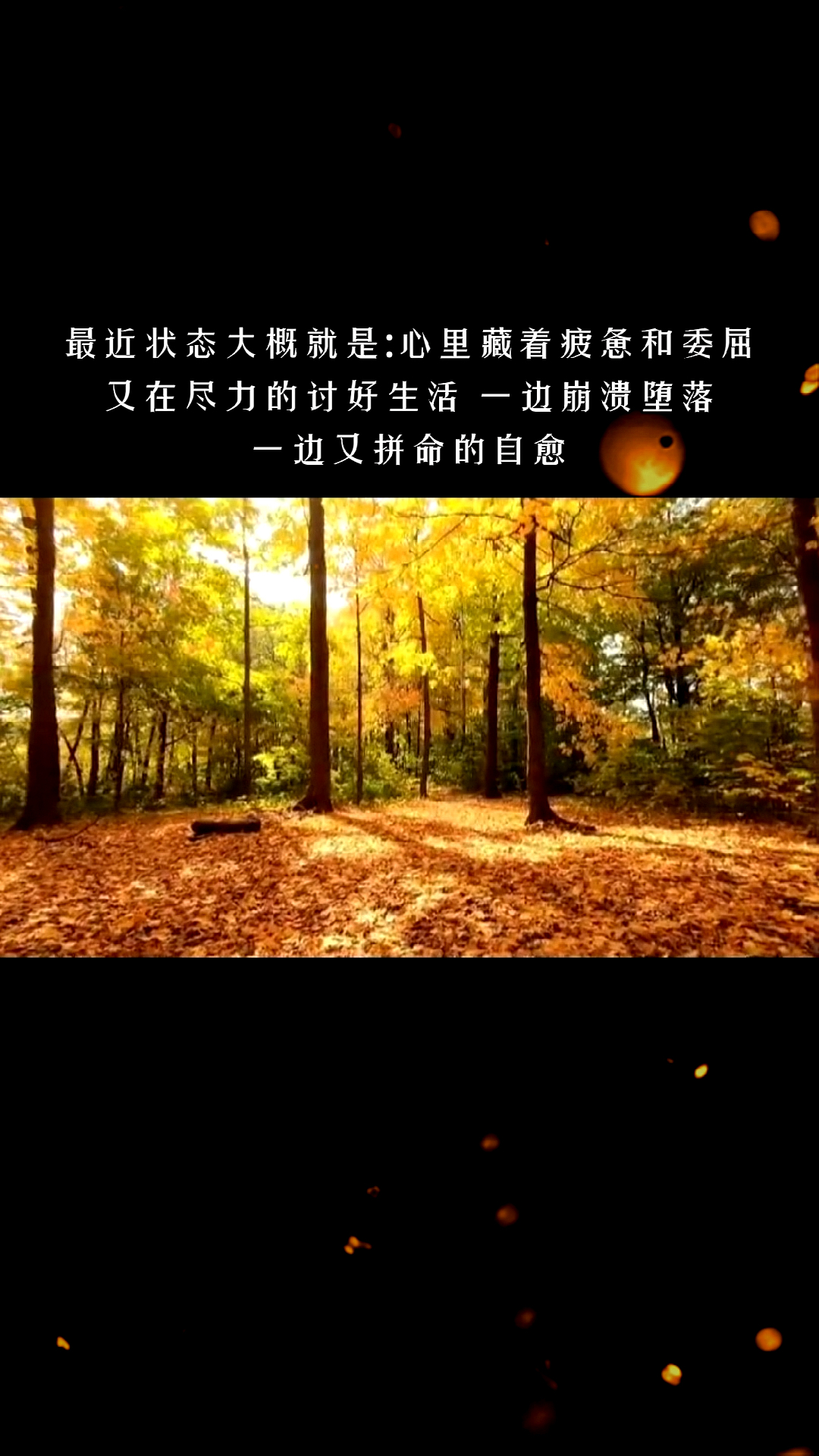 最近状态大概就是心里藏着疲惫和委屈,又在尽力的讨好生活一边崩溃