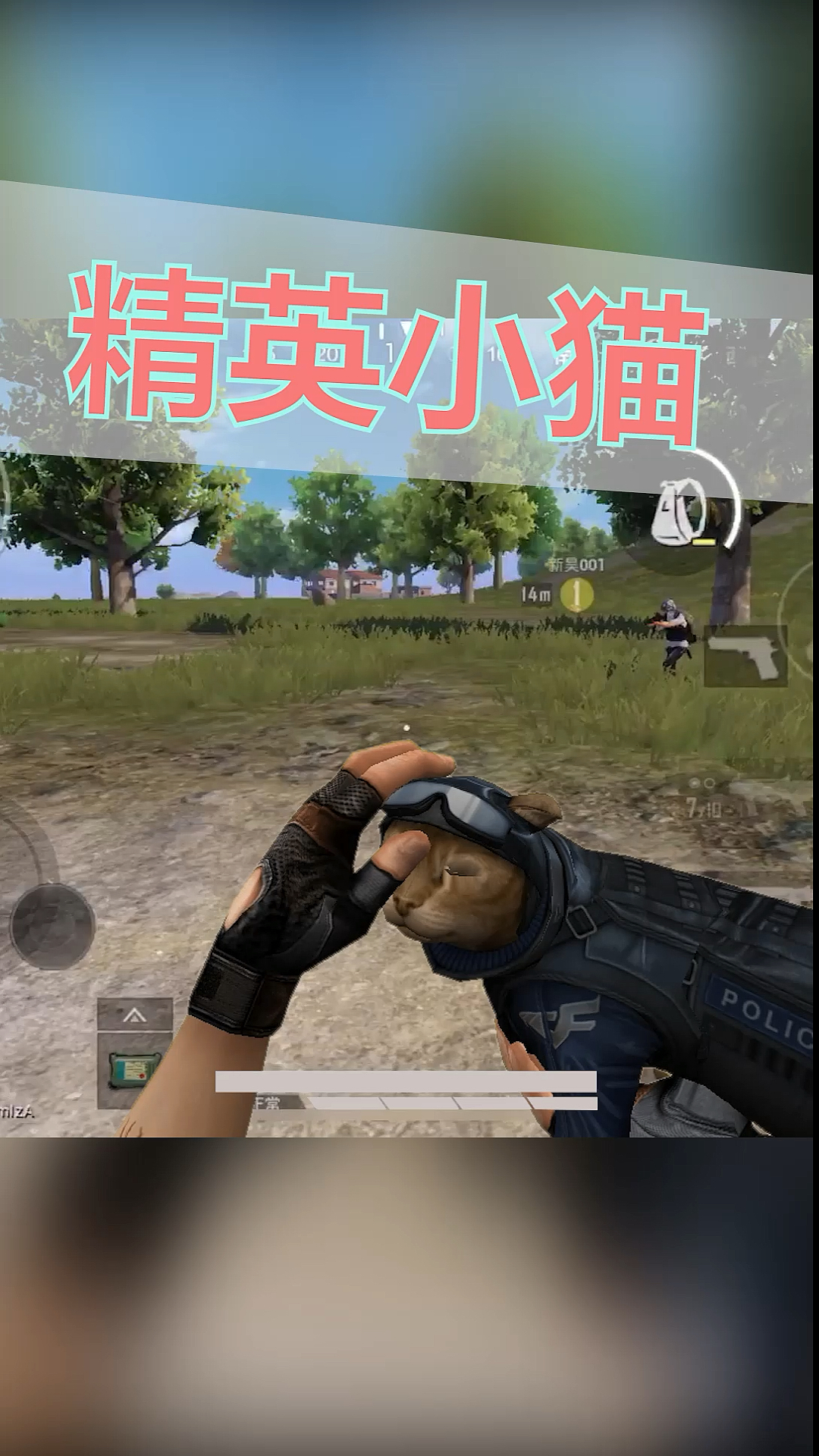 和平精英小猫