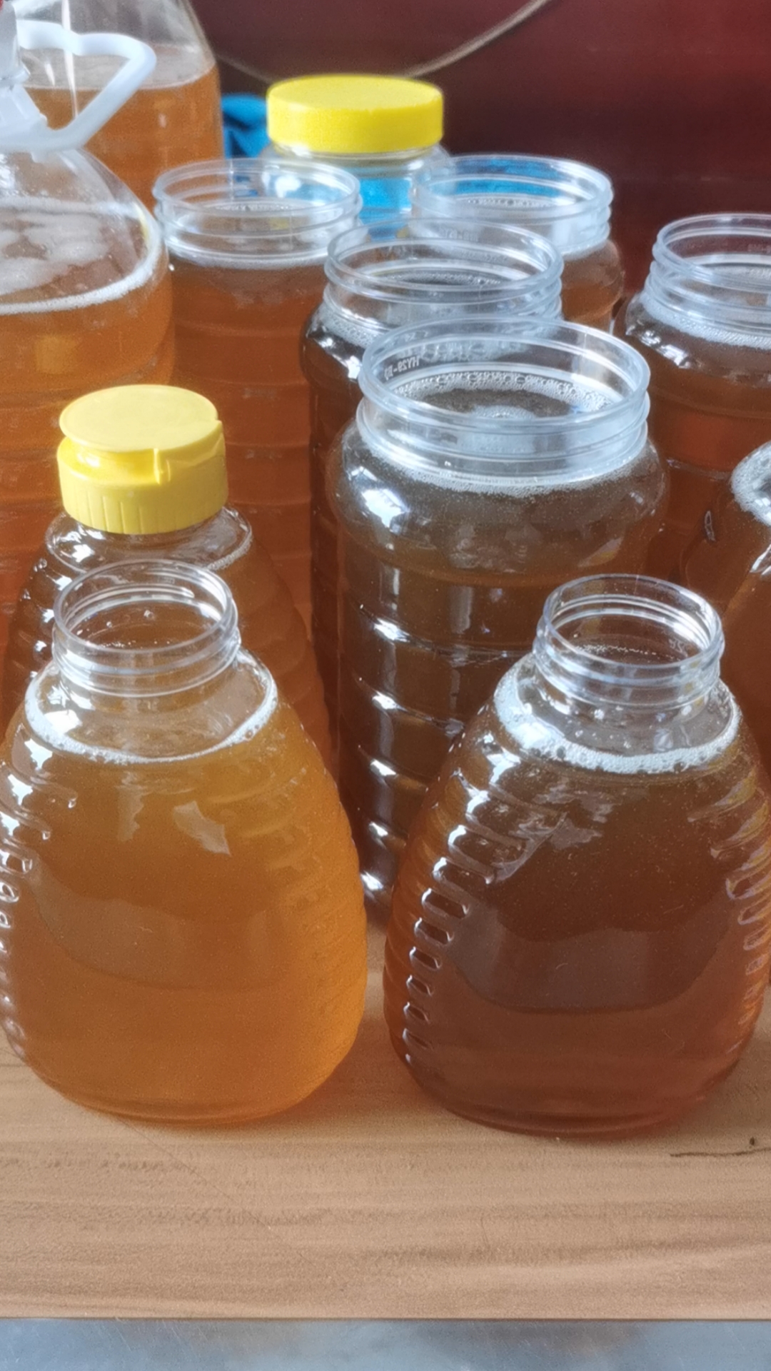 纯正高州荔枝蜜龙眼蜜,原产地,蜂场直发