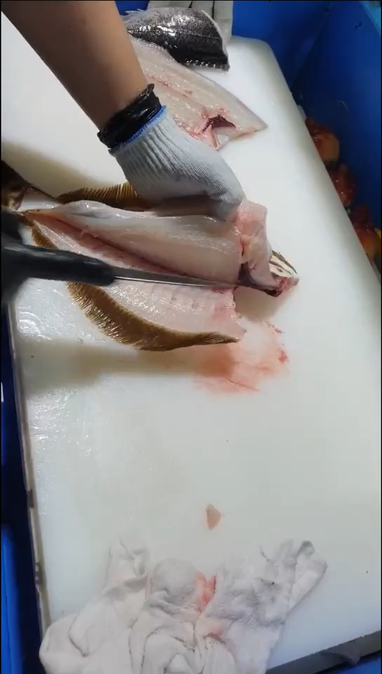 左口鱼分解#这个分解左口鱼的手法大家看看值多少钱一个月呢?