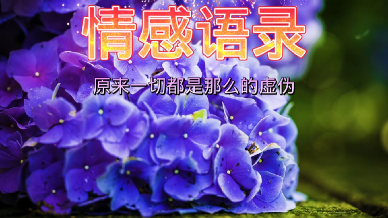 情感语录#原来一切都是那么的虚伪