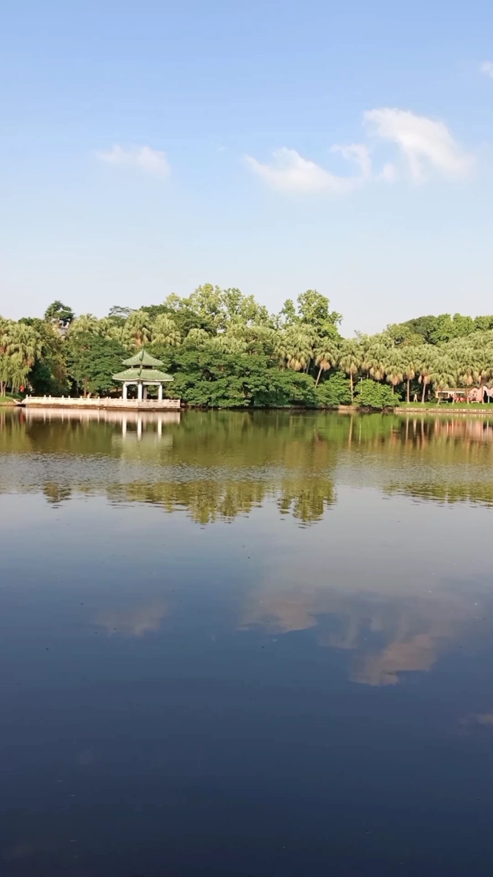 广东省中山市逸仙湖公园一角