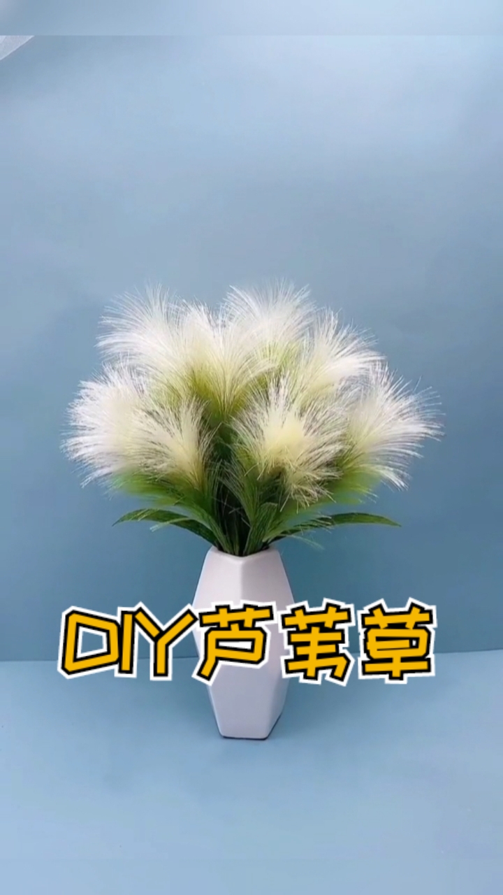 今天分享美美的芦苇草手工diy制作方法,手残党一定要码,爱了!-度小视
