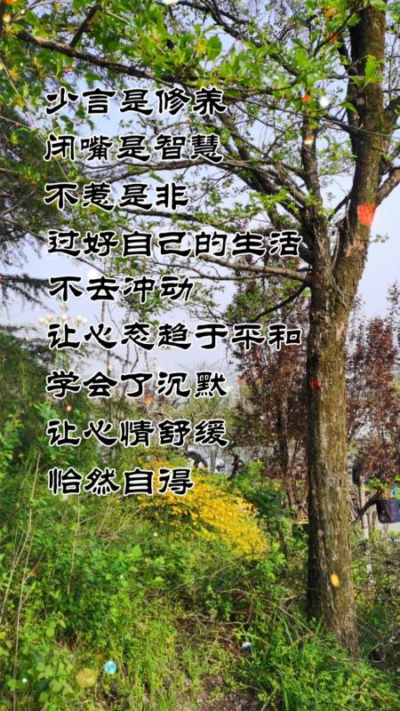 听语录,不迷路.#少言少语