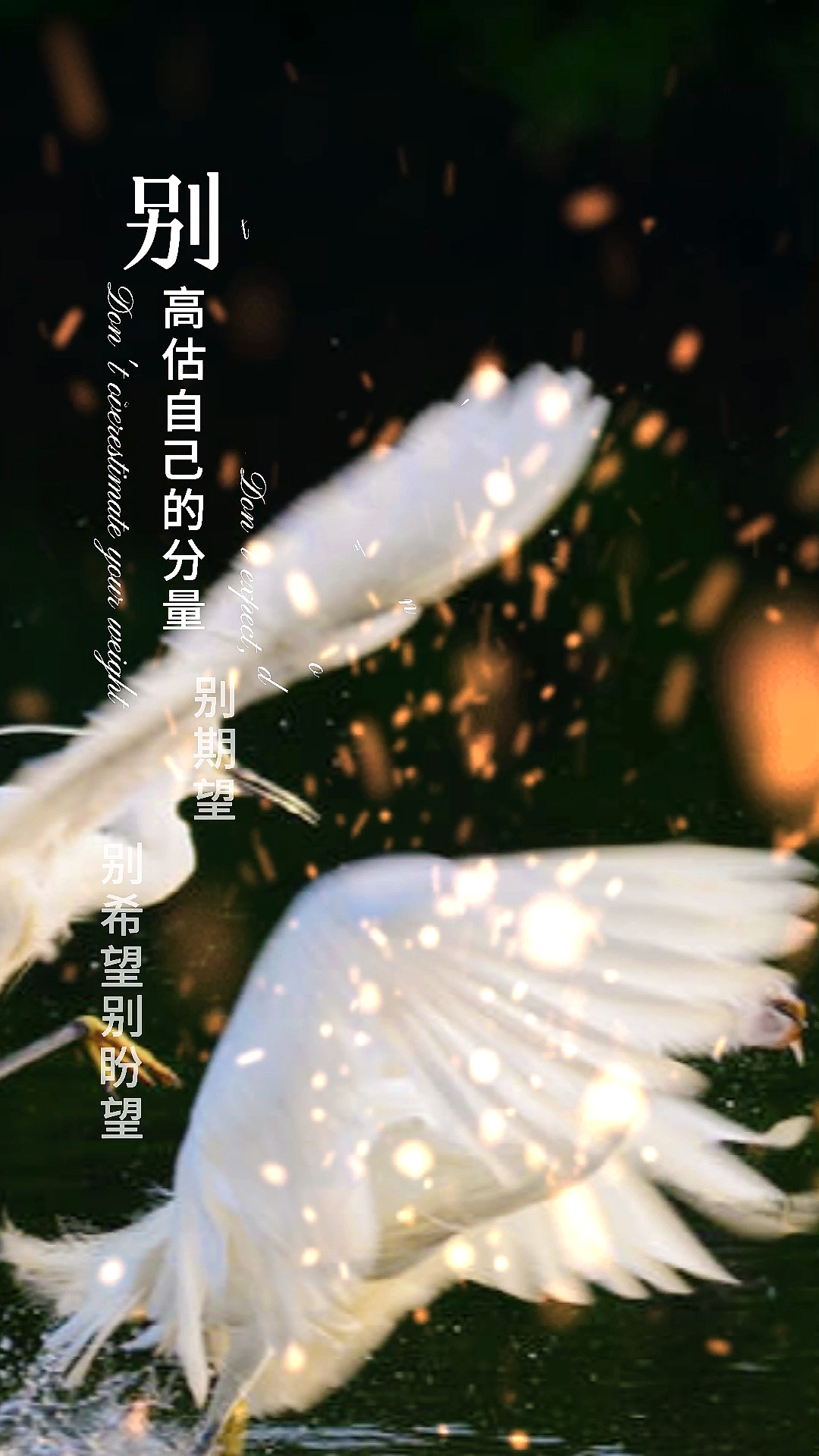 扎心情感语录#别高估自己的份量,别期望,别指望,才不会失望