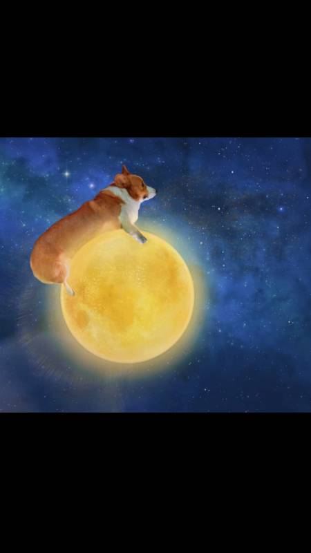 小狗吃月亮獒龙图片
