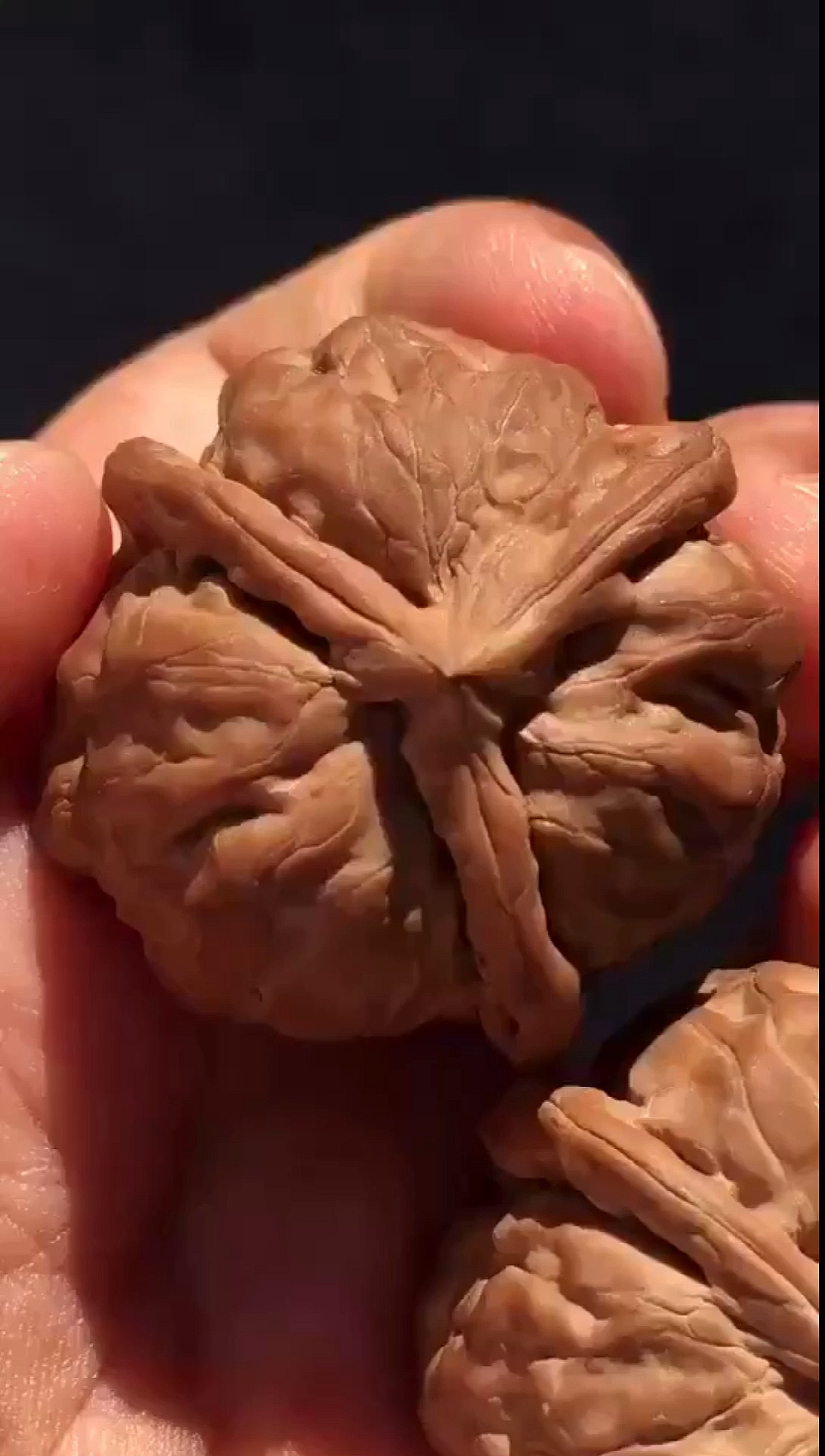 文玩核桃#蛤蟆三棱,全品无修