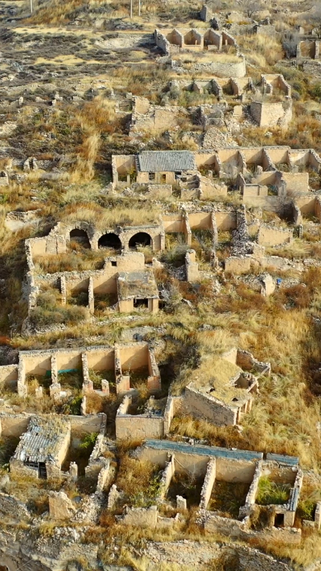 大山里发现一无人村,曾经繁华热闹的村庄,如今人都哪去了,留下一片