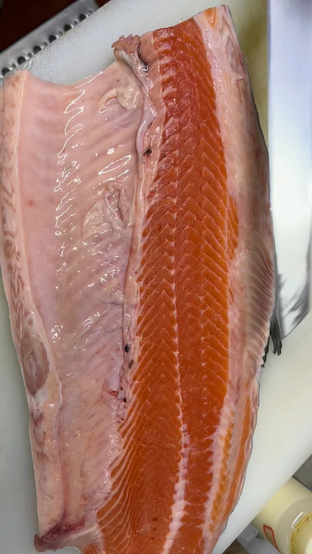 三文鱼#三文鱼去腹刺,大家看看这个手法怎么样?