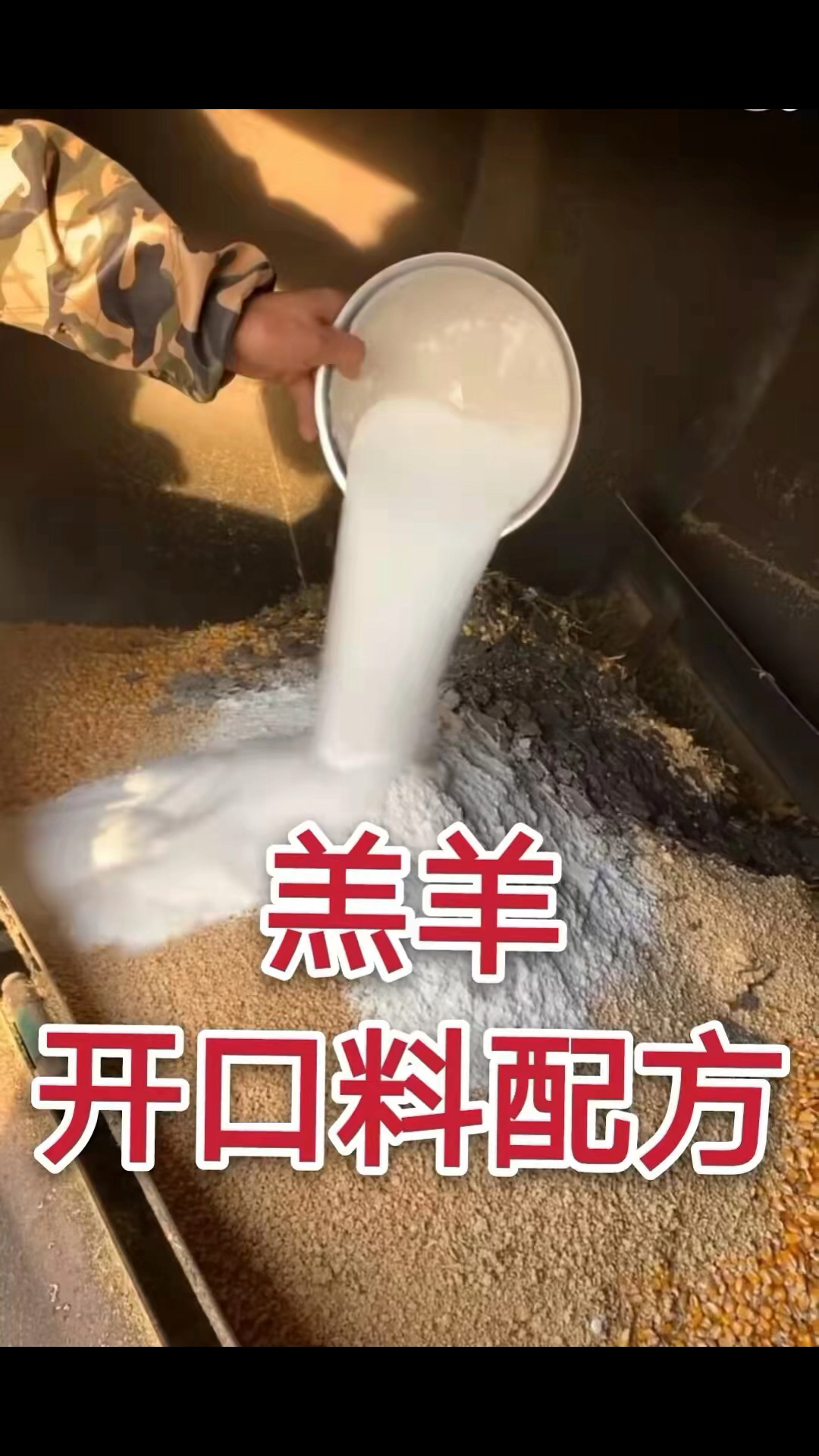 羔羊开口料配方供朋友们参考学习