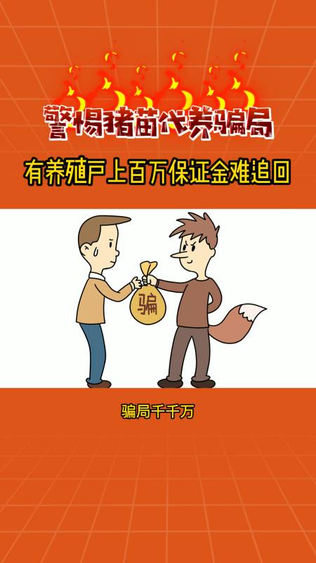 养猪人警惕猪苗代养骗局广西有养殖户上百万保证金难追回