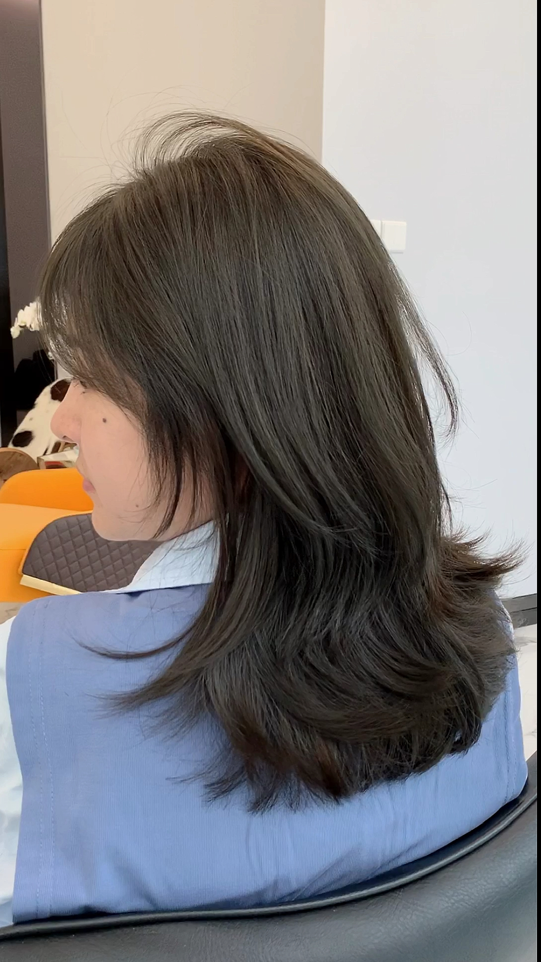 青木棕显白发色系