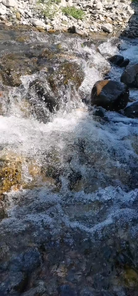 音为有你#见水者可以发大财环境太美了.