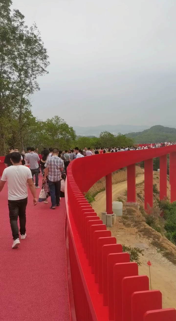 旅游进行时#深圳光明网红桥