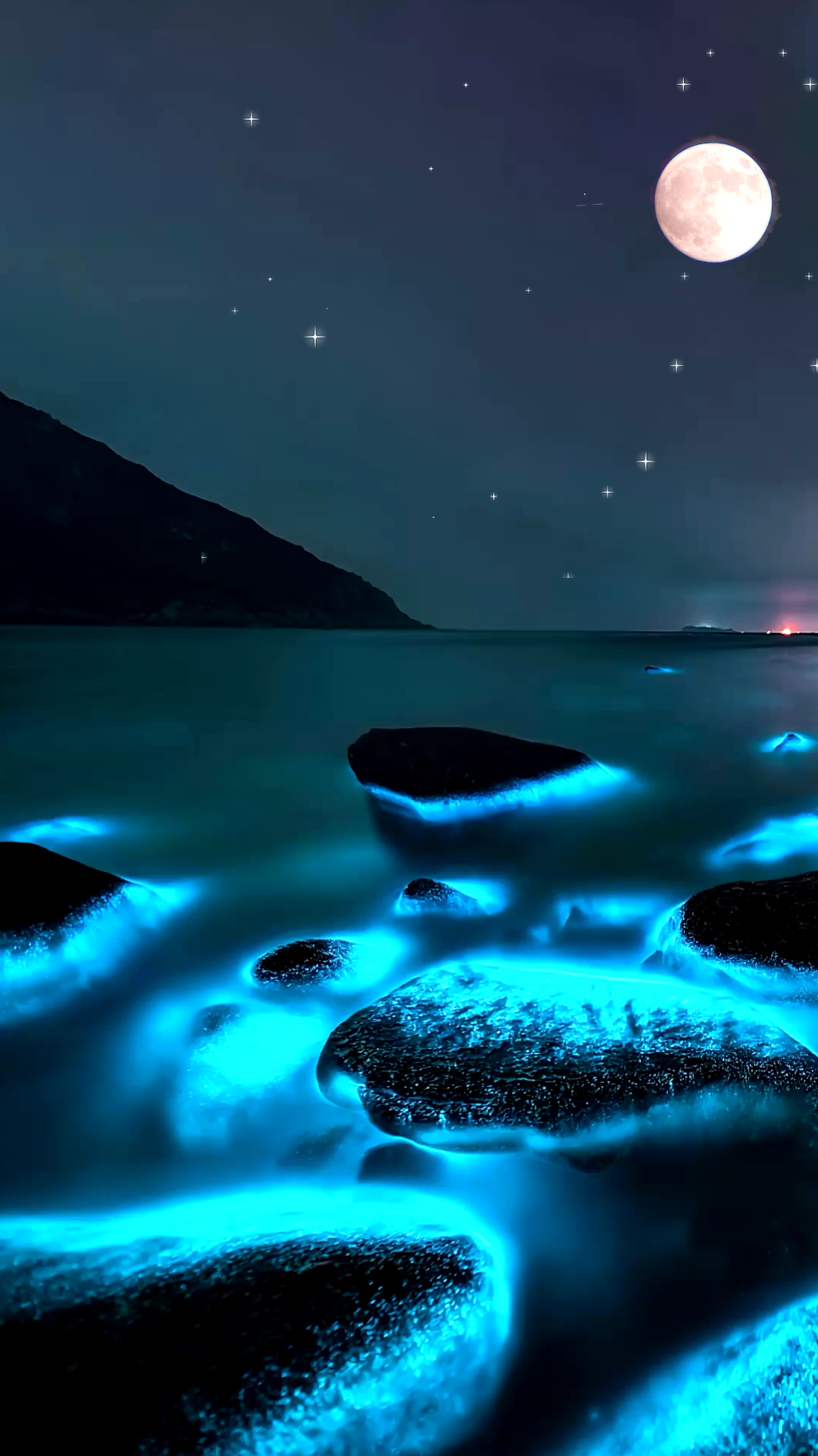 大黑石荧光海滩图片图片