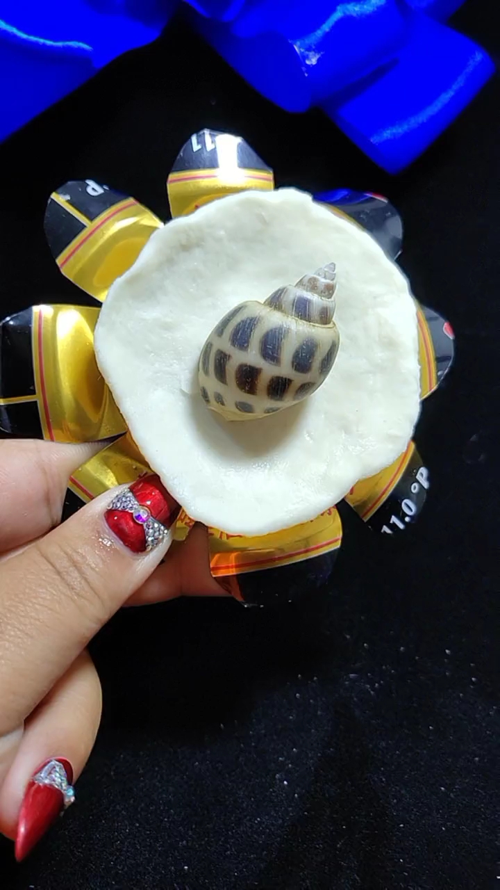 这波包饺子操作稳了.