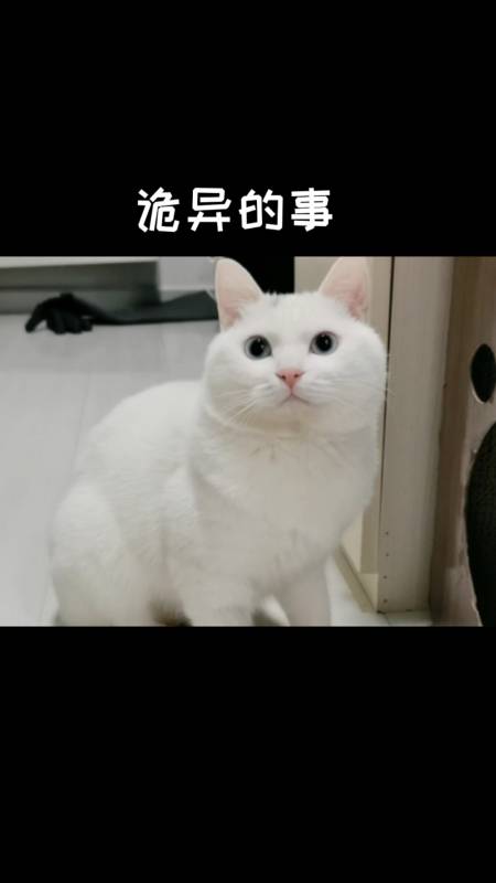 165.01万次播放.2020-12-307.24万李咪饭52.