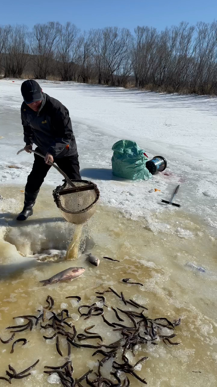 东北人冬季冰眼捕鱼场景