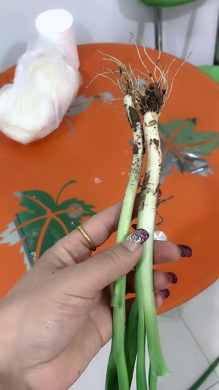 做饭腾不开手,让老公去买两根葱,谁知道他真就买了两根回来,真无语