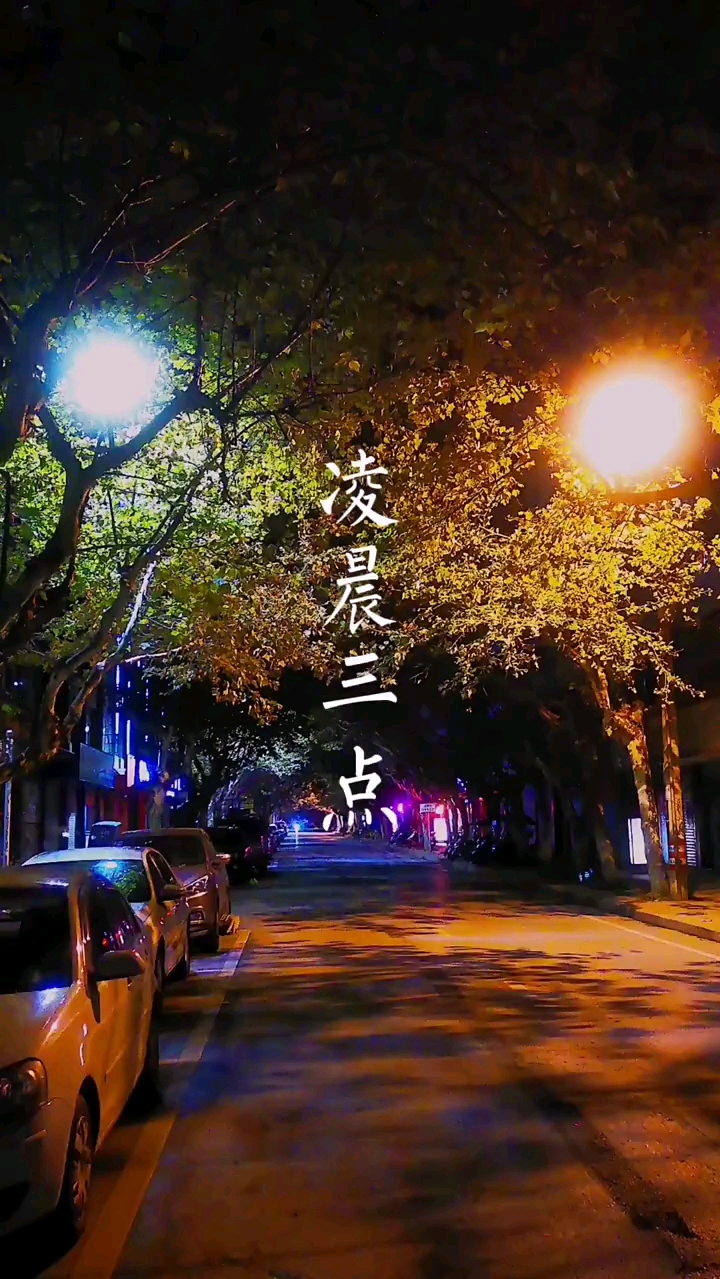 深夜放毒我在凌晨三点醒来的夜里
