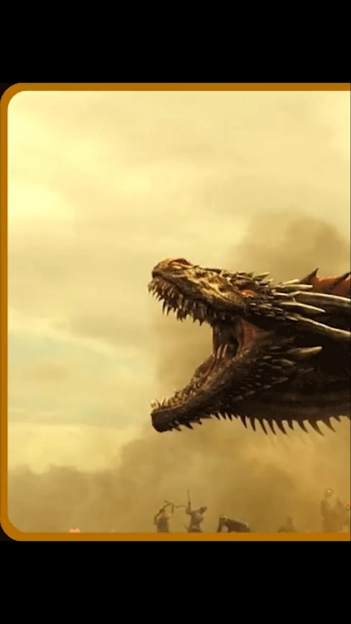 你见过国外的龙吗?