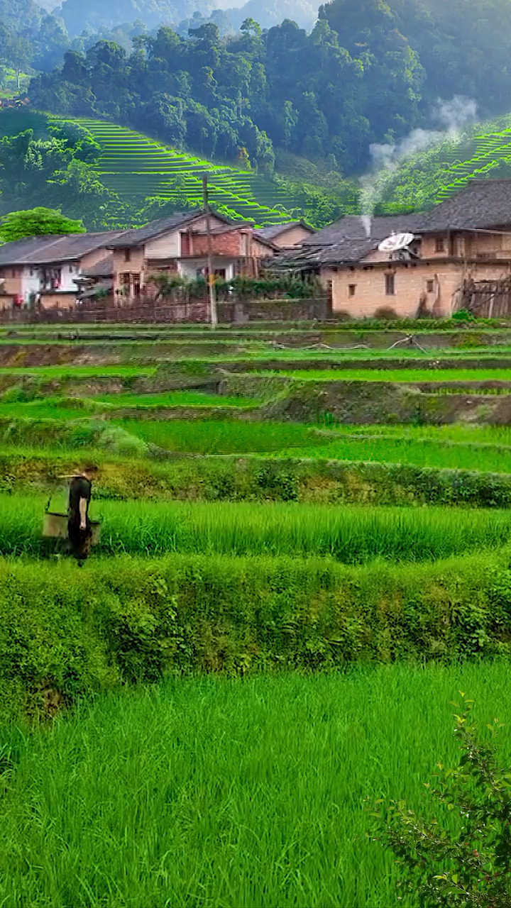 这就是我们乡下,山沟沟里,没有大城市喧嚣和繁华,我知道这种农村视频
