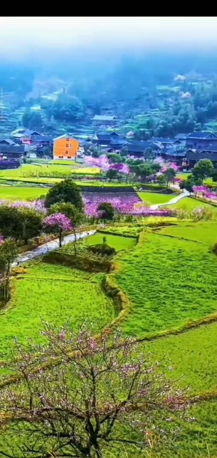 南方的春天悄悄来临优美风景.